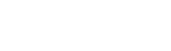 MiniBags